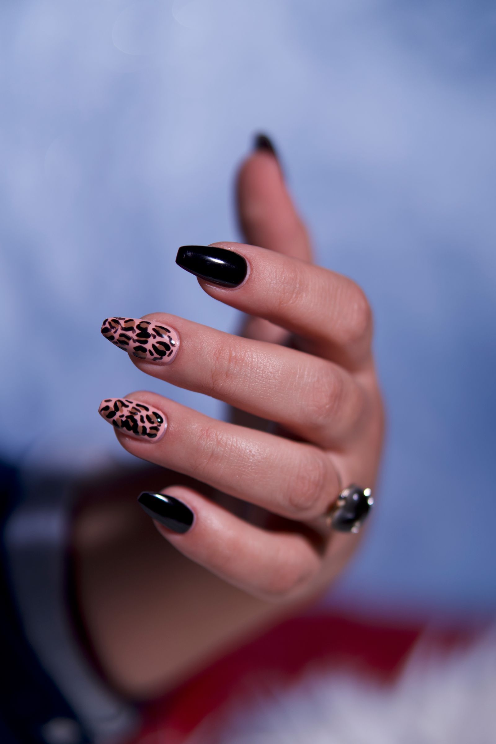 Close-up of a hand with black and leopard print nail art, showcasing elegant fashion style.
